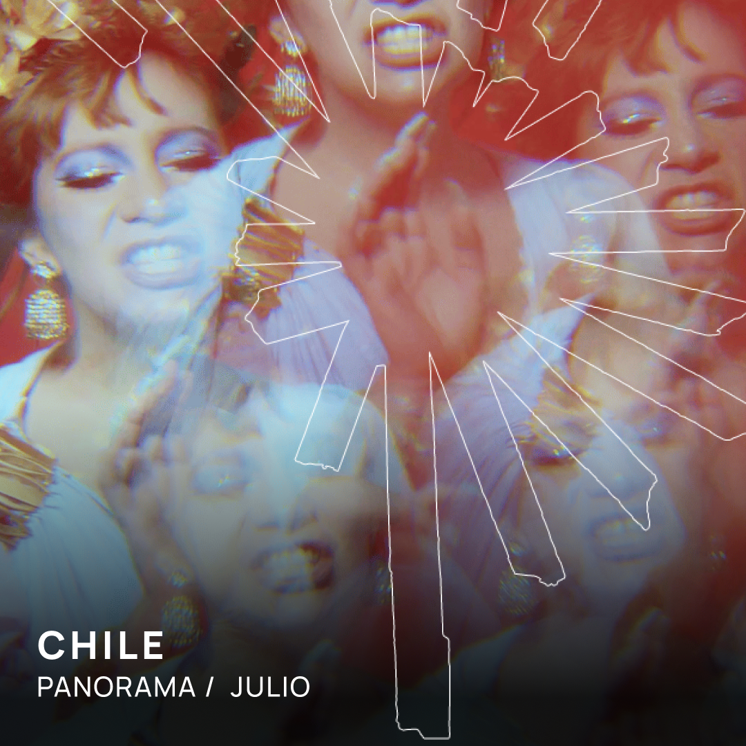 Socio en vivo y De Cámara