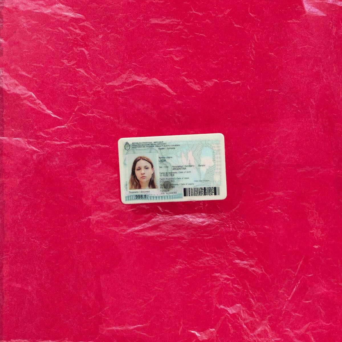 lupe-un-numero.jpg